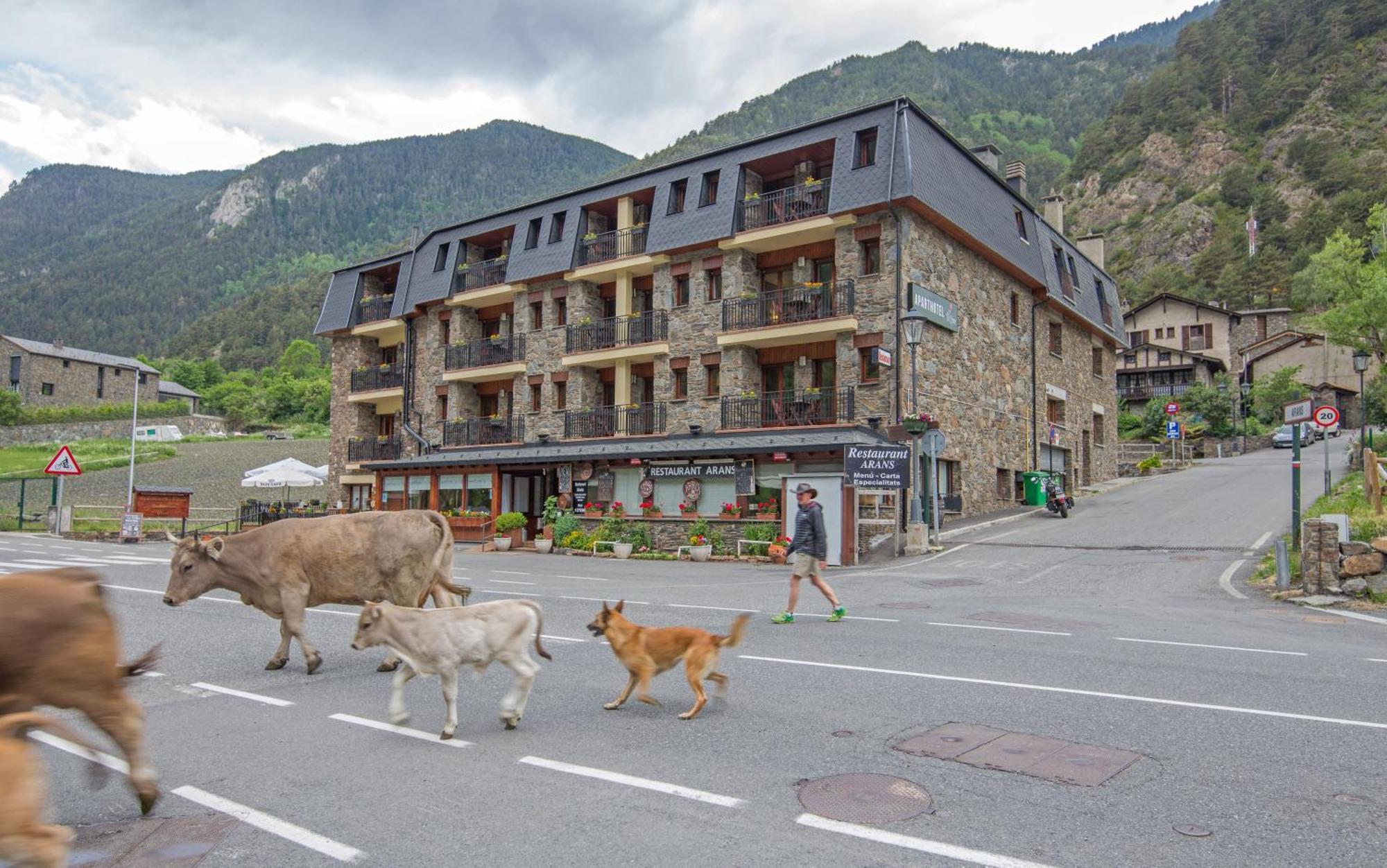 Pierre & Vacances Aparthotel La Tulipa Ordino Exterior photo